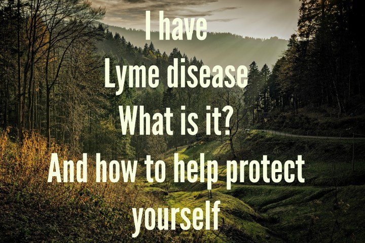 I have lyme.jpg